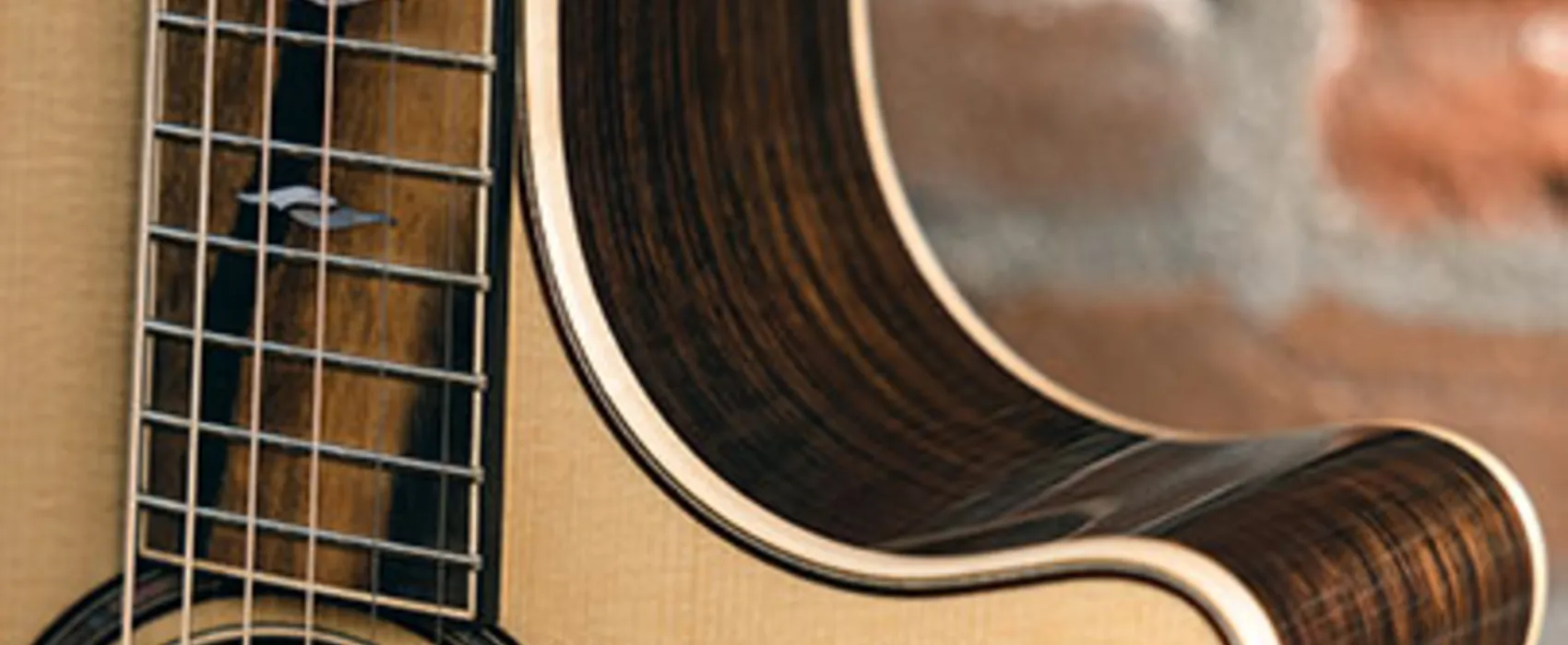 taylor-features-cutaways