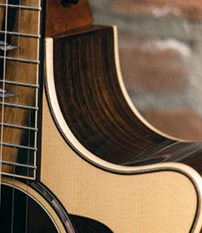 taylor-features-cutaways