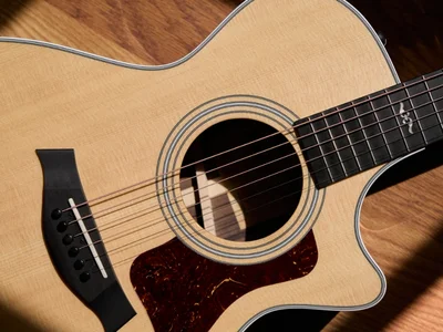 Torrefied Spruce | Top Woods | Taylor Guitars